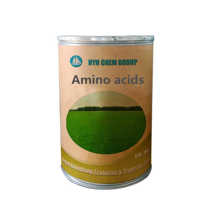 Amino Acid