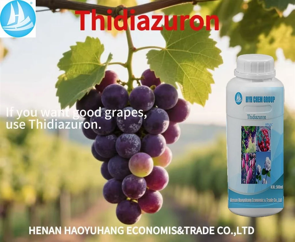 Efficient And Low-Toxic Thidiazuron 95%EC 950/L EC CAS51707-55-2 Specially Used For Grapes And Cotton suppliers