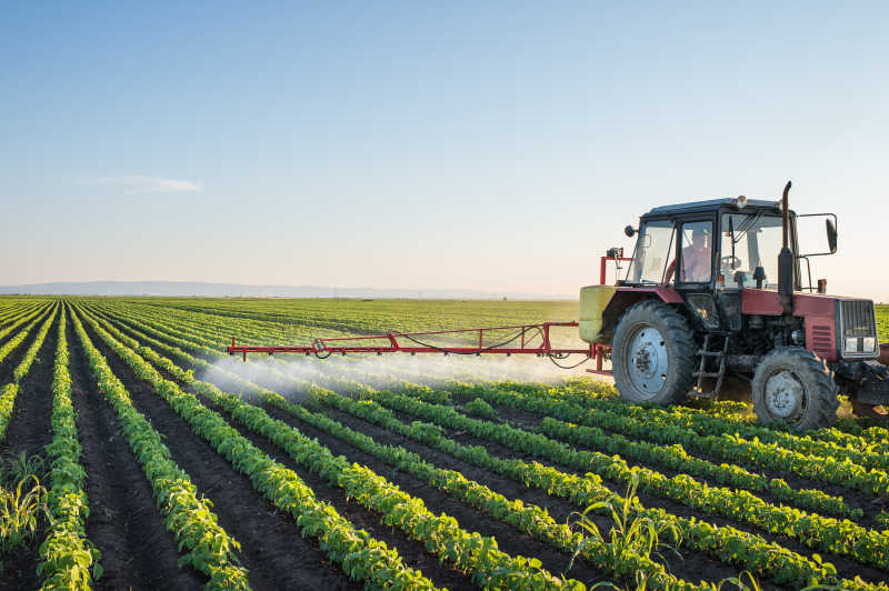 spraying spraying