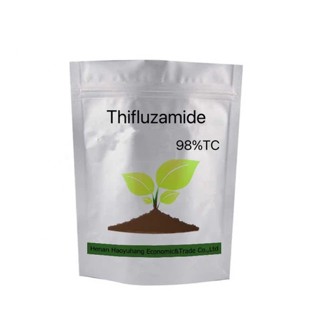 20241111151528 20241111151528